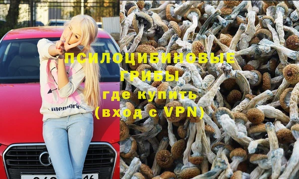 ПСИЛОЦИБИНОВЫЕ ГРИБЫ Алексеевка