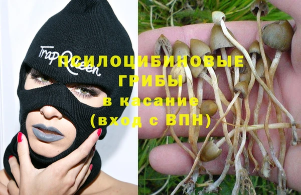 ПСИЛОЦИБИНОВЫЕ ГРИБЫ Алексеевка