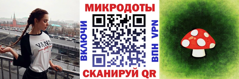 Галлюциногенные грибы Psilocybine cubensis  Дмитровск 